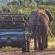 Sungulwane Private Game Lodge - 174588