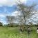 Sungulwane Private Game Lodge - 174593