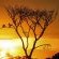 Sungulwane Private Game Lodge - 174596