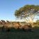Sungulwane Private Game Lodge - 174598