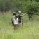 Sungulwane Private Game Lodge - 174622