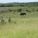 Sungulwane Private Game Lodge - 174625