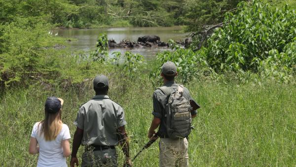 Sungulwane Private Game Lodge - 174630