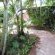 Little Eden St Lucia - 174827