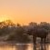 Pondoro Game Lodge - 174866
