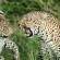 Pondoro Game Lodge - 174867