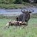 Pondoro Game Lodge - 174872