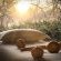 Pondoro Game Lodge - 174874