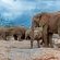 Pondoro Game Lodge - 174876