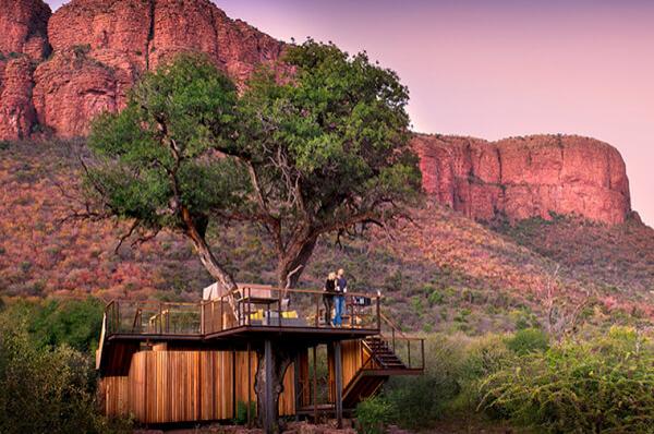 Marataba Luxury Lodges - 174953