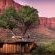 Marataba Luxury Lodges - 174953
