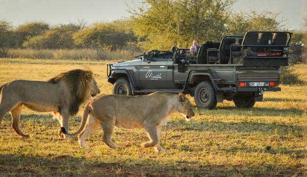 Marataba Luxury Lodges - 174955