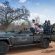 Marataba Luxury Lodges - 174976