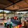 Marataba Luxury Lodges - 174977