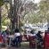 Willows Boutique Hotel - 175091