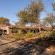 Phomola Manor - 175647