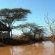 White Elephant Bush Camp - 175727