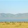 White Elephant Bush Camp - 175731