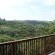 Nkutu River Lodge - 175867