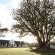 Spier Estate - 176900