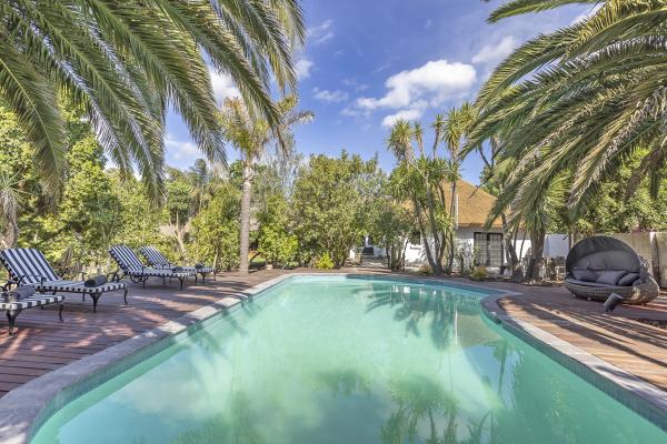 Africa Lodge - 177047