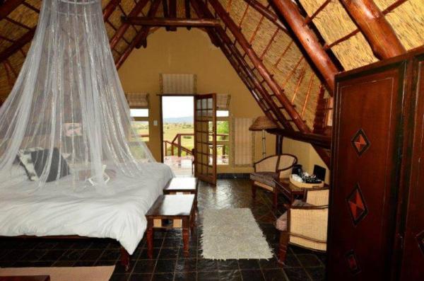 Letsatsi Private Game Lodge - 177296