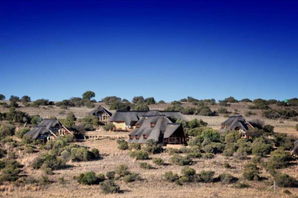 Letsatsi Private Game Lodge - 177306