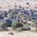 Letsatsi Private Game Lodge - 177309
