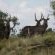 Letsatsi Private Game Lodge - 177310