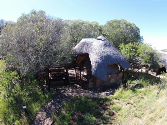 Letsatsi Private Game Lodge - 177311