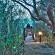 Letsatsi Private Game Lodge - 177313