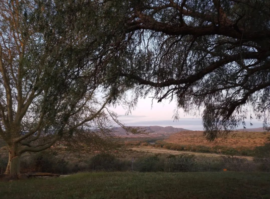 Trumpetters Drift Game Farm - 178042