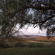 Trumpetters Drift Game Farm - 178042
