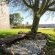 Trumpetters Drift Game Farm - 178052