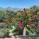 Alba House Bed and Breakfast - 178254