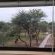 Marloth Kruger View - 178636
