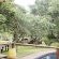Nyathi Lodge - 178821