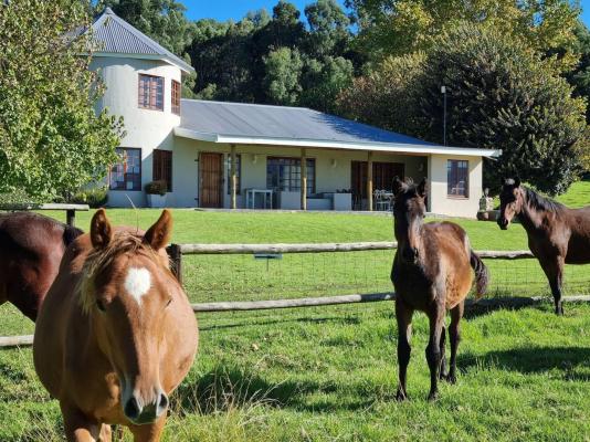 Farm Stay Accommodation - 178826