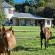 Farm Stay Accommodation - 178826