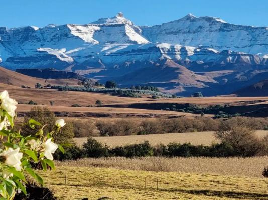 Farm Stay Accommodation - 178827