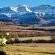 Farm Stay Accommodation - 178827