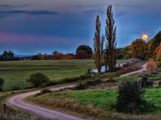Farm Stay Accommodation - 178830