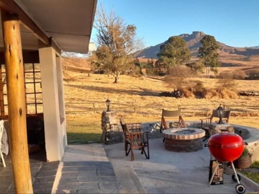 Farm Stay Accommodation - 178833