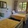 Farm Stay Accommodation - 178841