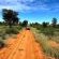 Torgos Lodge - 180248