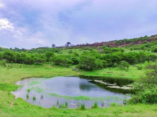 Simbonga Game Reserve & Sanctuary - 180310