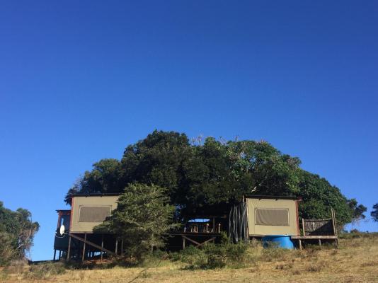 Simbonga Game Reserve & Sanctuary - 180311