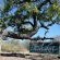 Thulani Game Lodge & Eco Estate - 181282