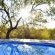 Thulani Game Lodge & Eco Estate - 181285