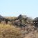 Thulani Game Lodge & Eco Estate - 181291